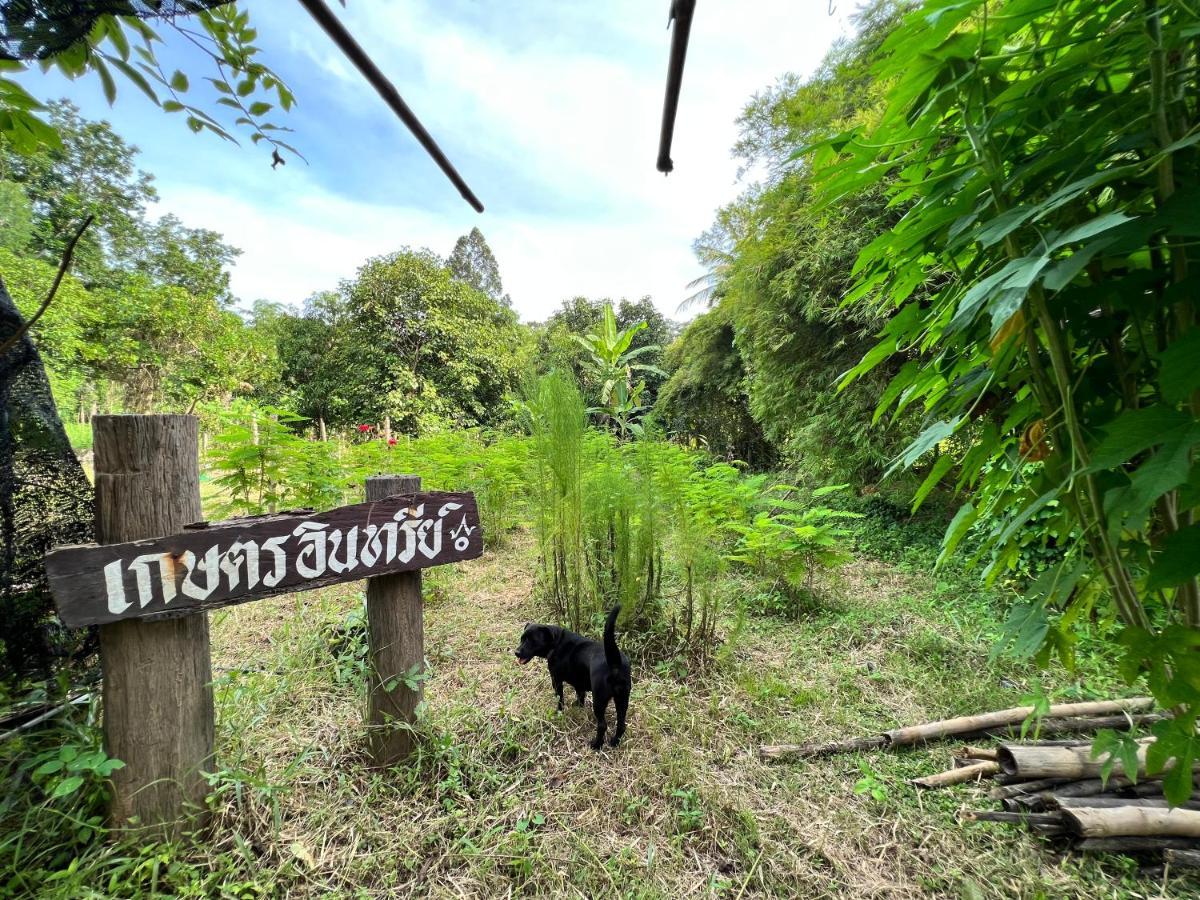 Phow Homestay Ban Mai  Esterno foto