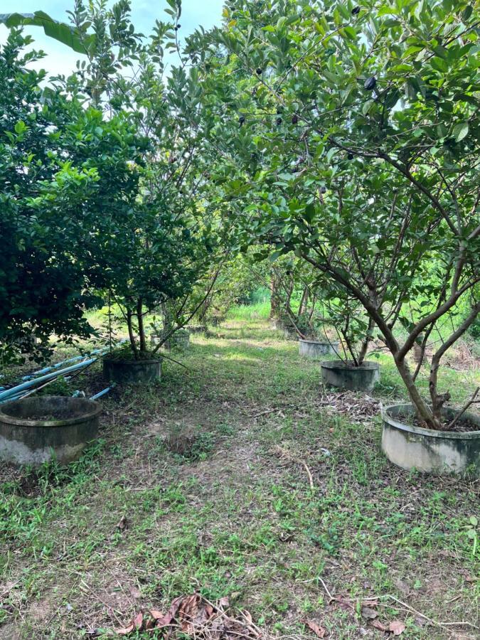 Phow Homestay Ban Mai  Esterno foto
